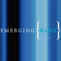美国Mount Pleasant, SC工作招聘Emerging Blue：高级绩效营销经理 薪资 $125000 - 135000 年薪 | 华人找工作